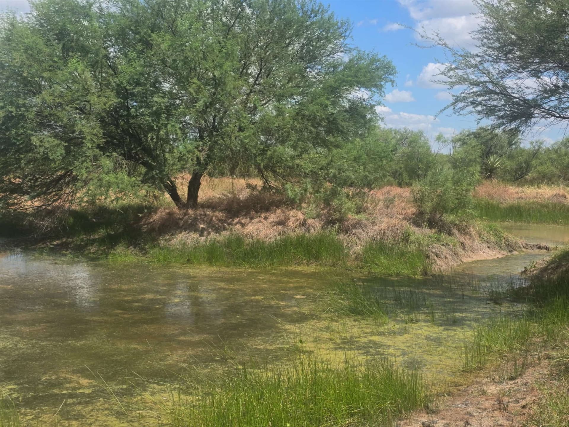 10 acres in WEBB County - photo 13