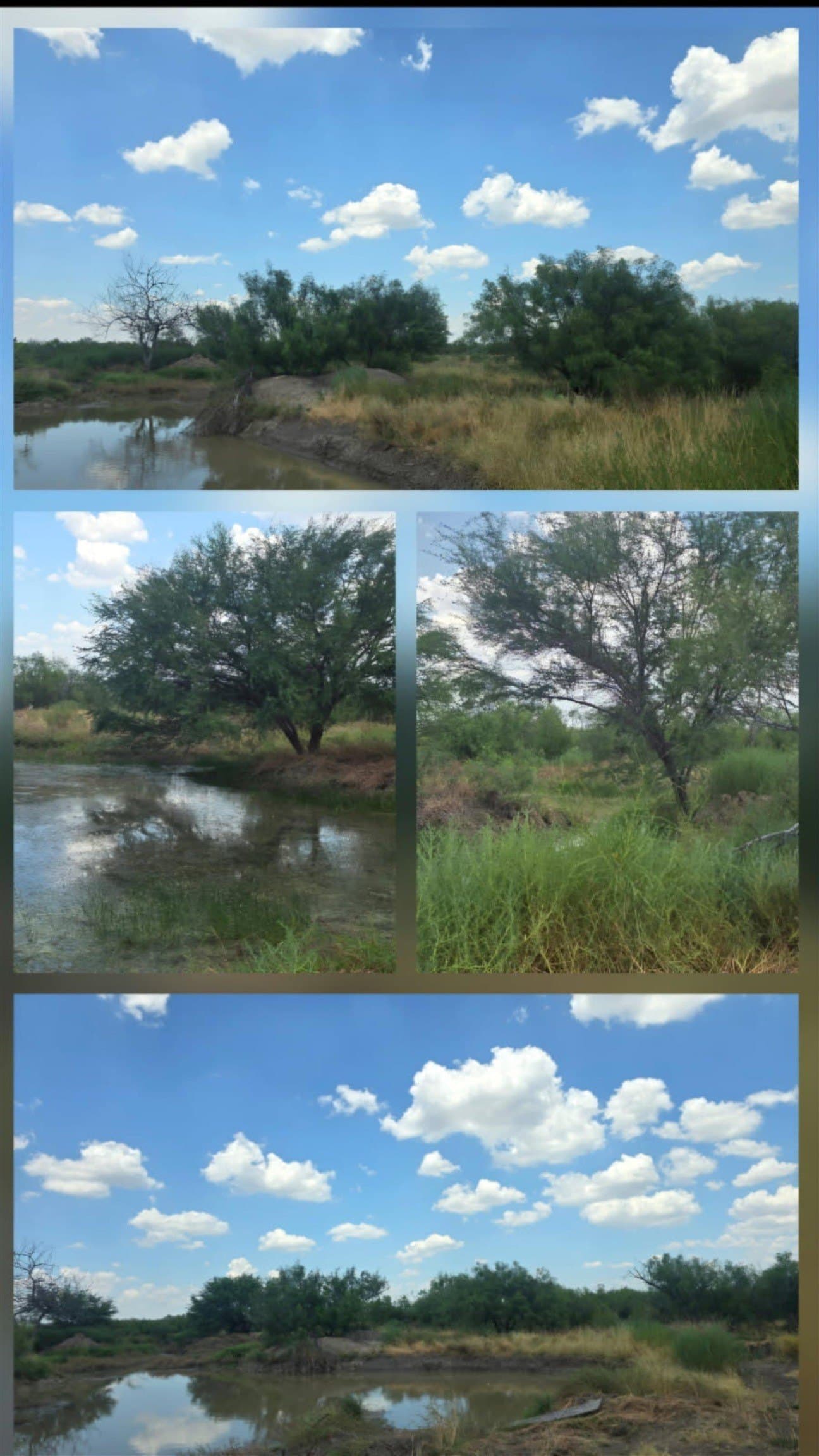 10 acres in WEBB County - photo 14