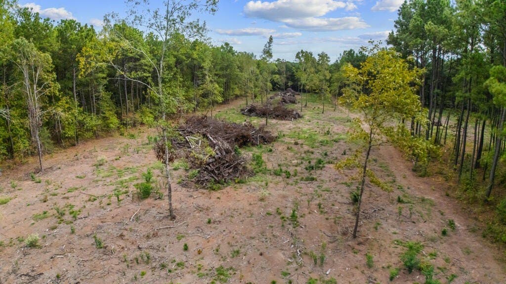 2.69 acres in Texas County - photo 6