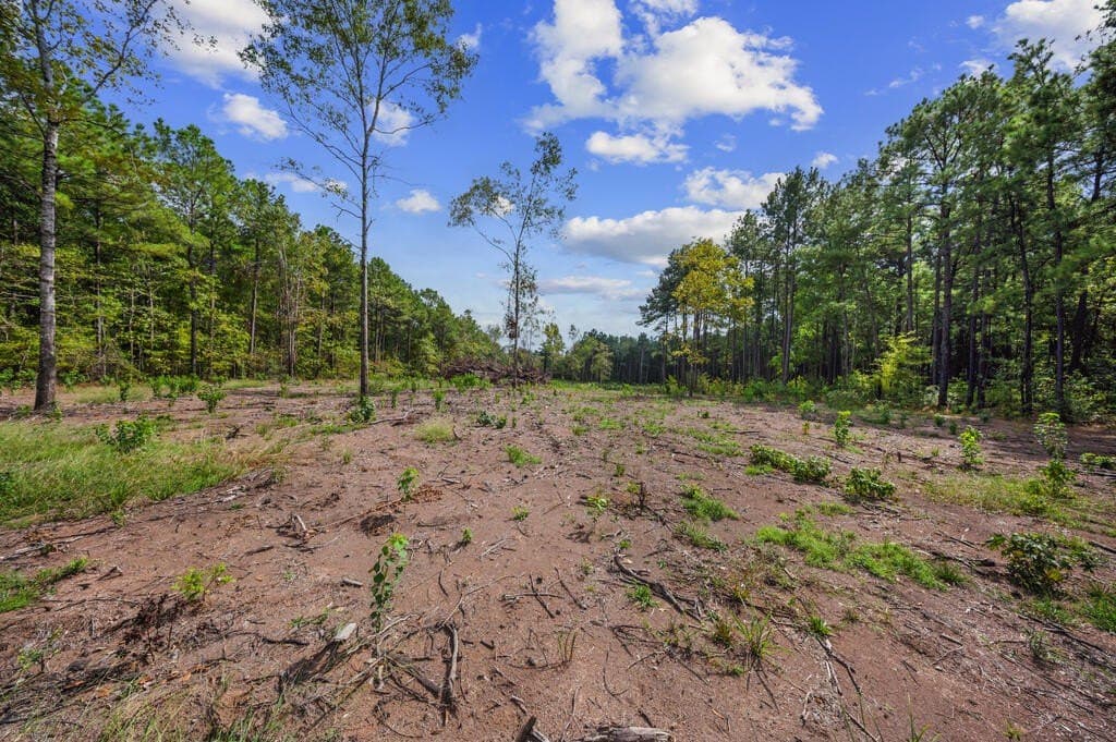 2.69 acres in Texas County - photo 8