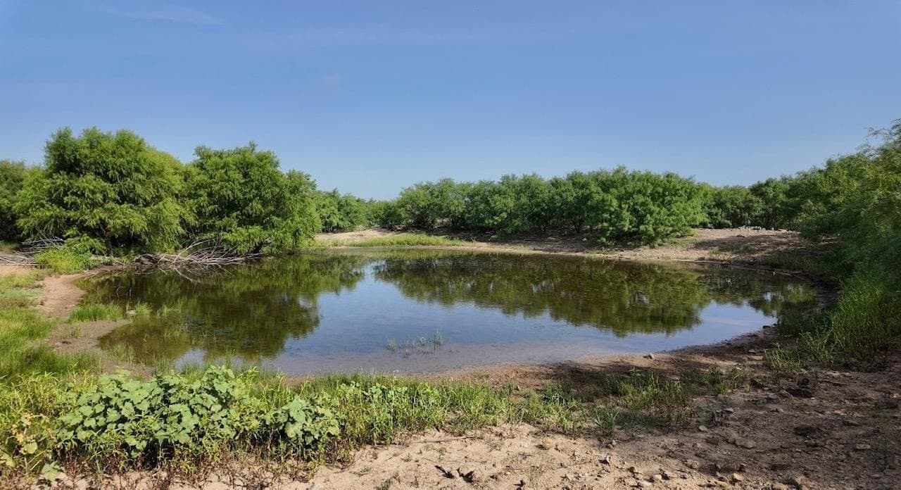 809 acres in Coleman County