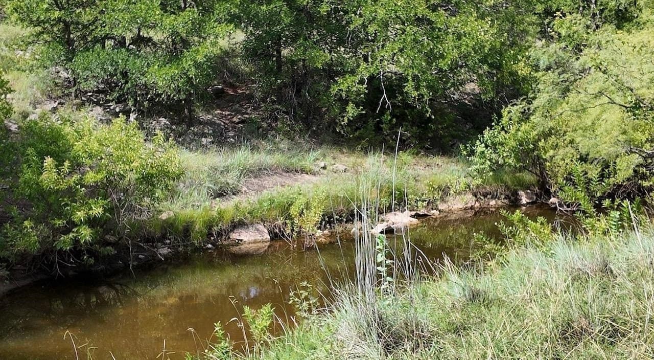 809 acres in Coleman County gallery image 4