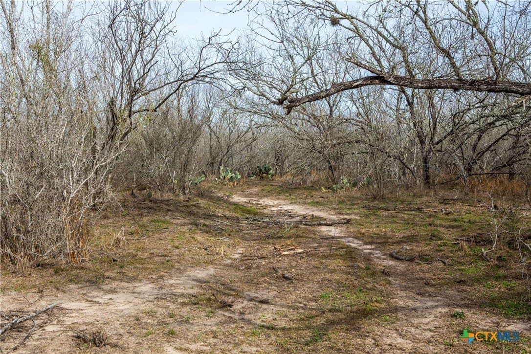 12.19 acres in Bee County - photo 9