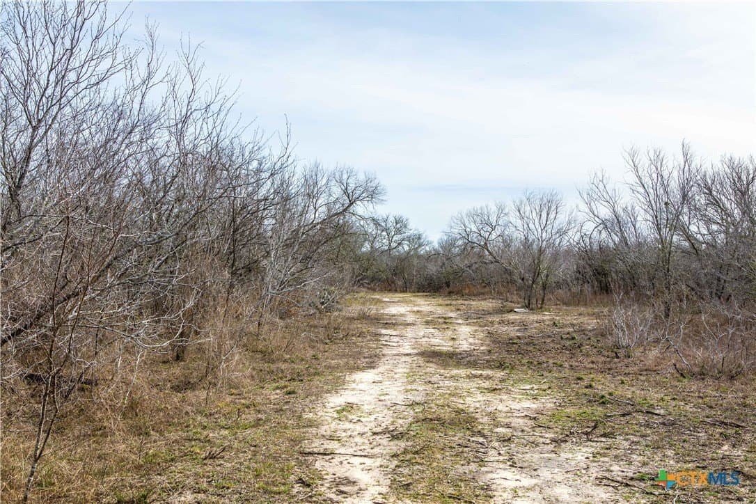 12.19 acres in Bee County - photo 8