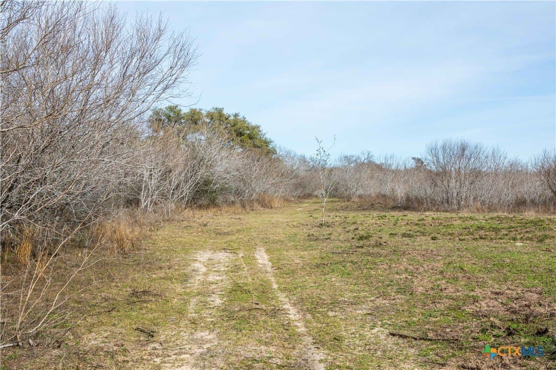 12.19 acres in Bee County - photo 6