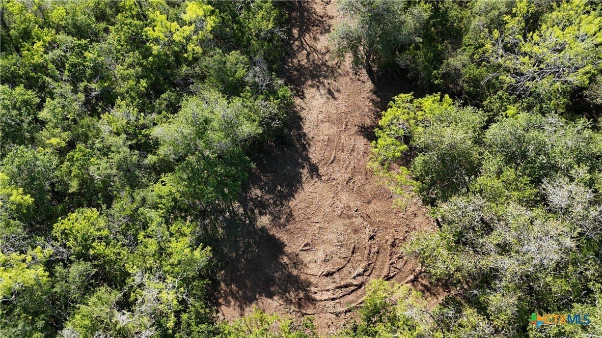 12.19 acres in Bee County - photo 38