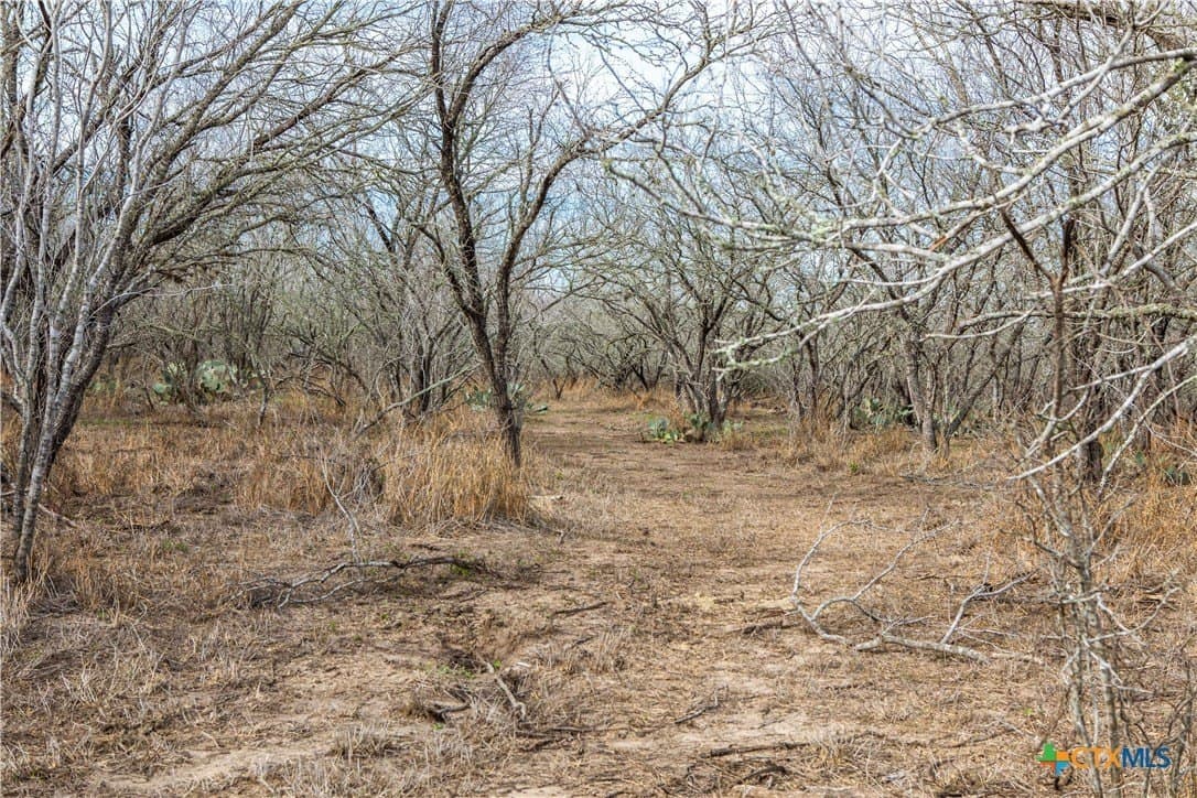 12.19 acres in Bee County - photo 17