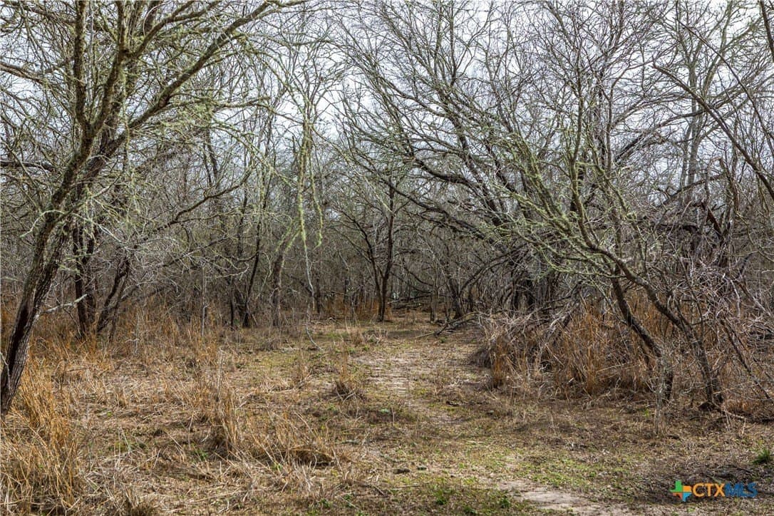 12.19 acres in Bee County - photo 12