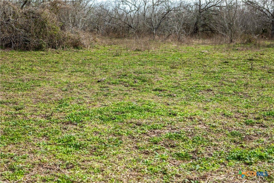 12.19 acres in Bee County - photo 13