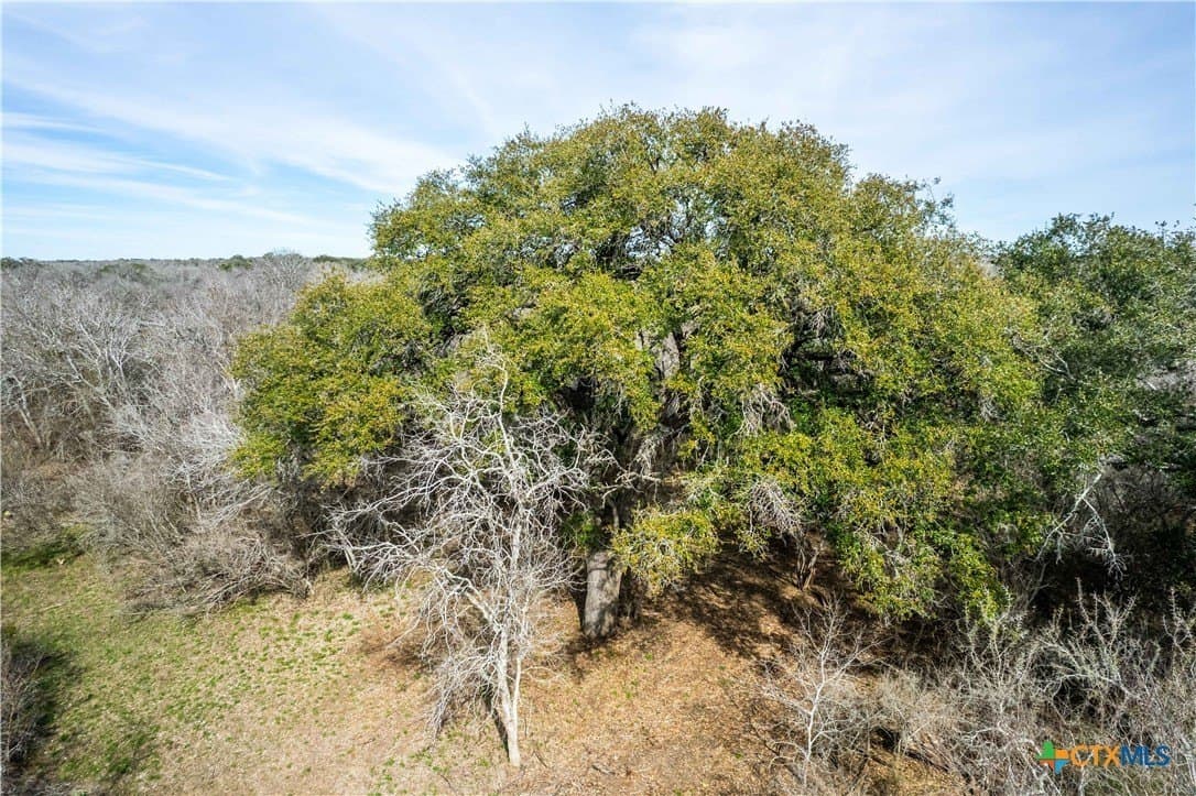 12.19 acres in Bee County - photo 34