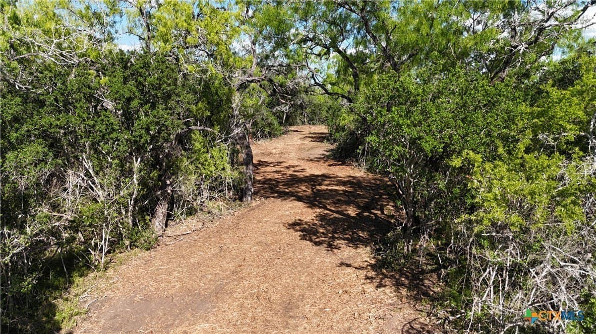 12.19 acres in Bee County - photo 36