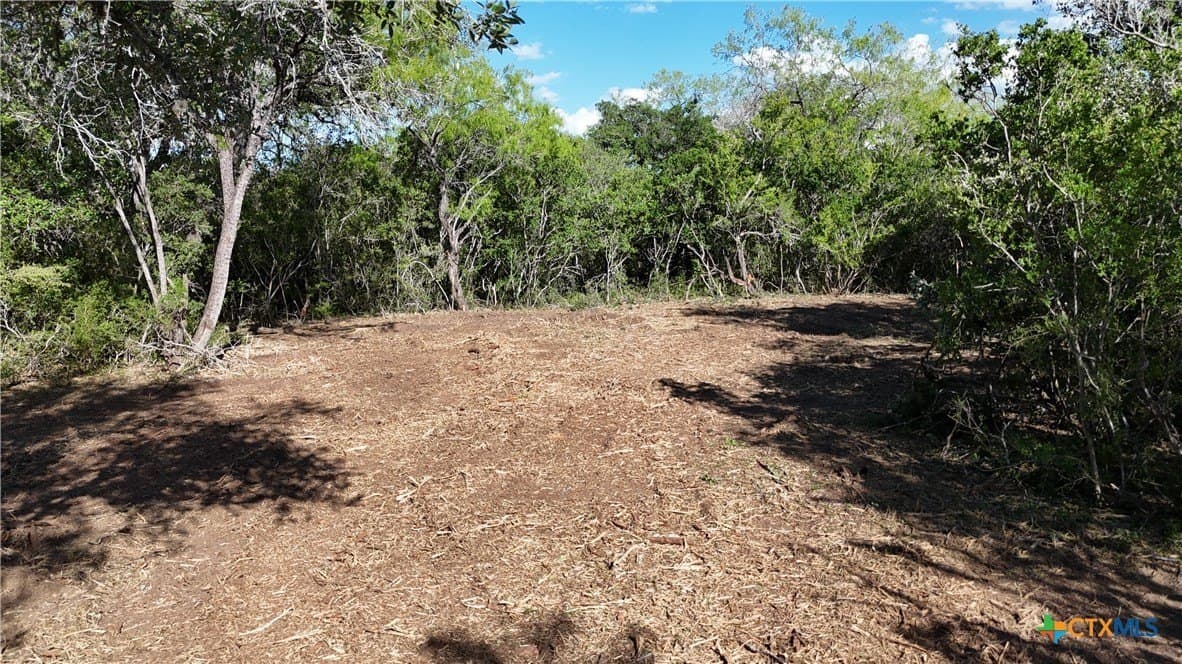 12.19 acres in Bee County - photo 35