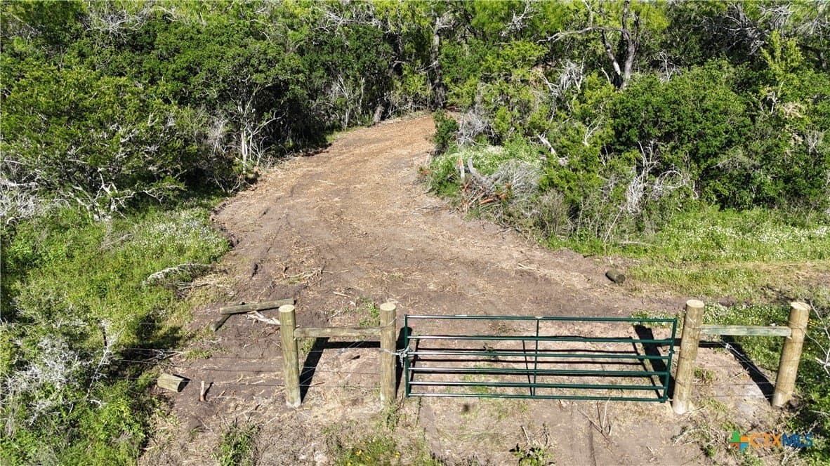 12.19 acres in Bee County gallery image 2