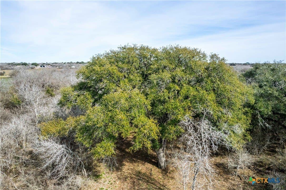 12.19 acres in Bee County - photo 33