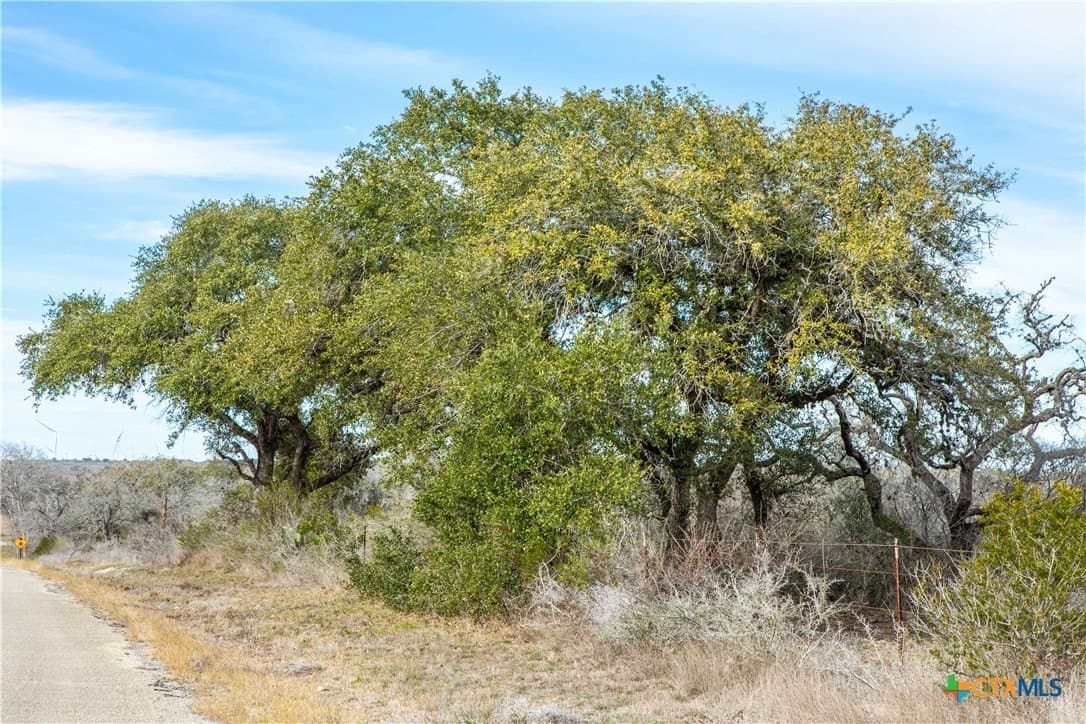 12.19 acres in Bee County - photo 23