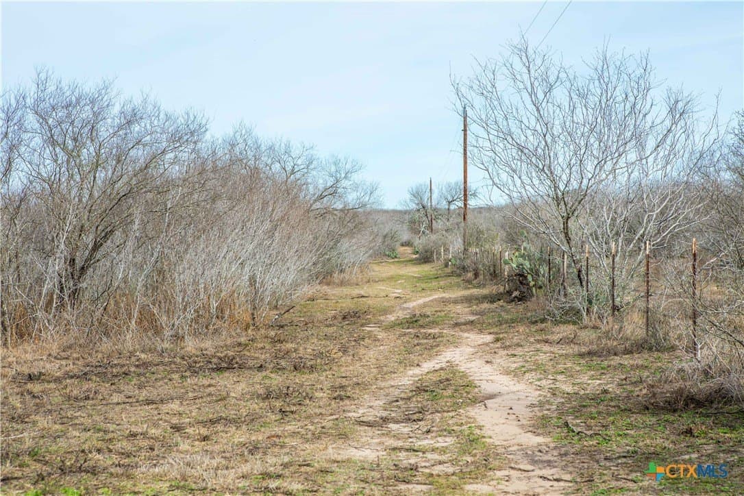 12.19 acres in Bee County - photo 14