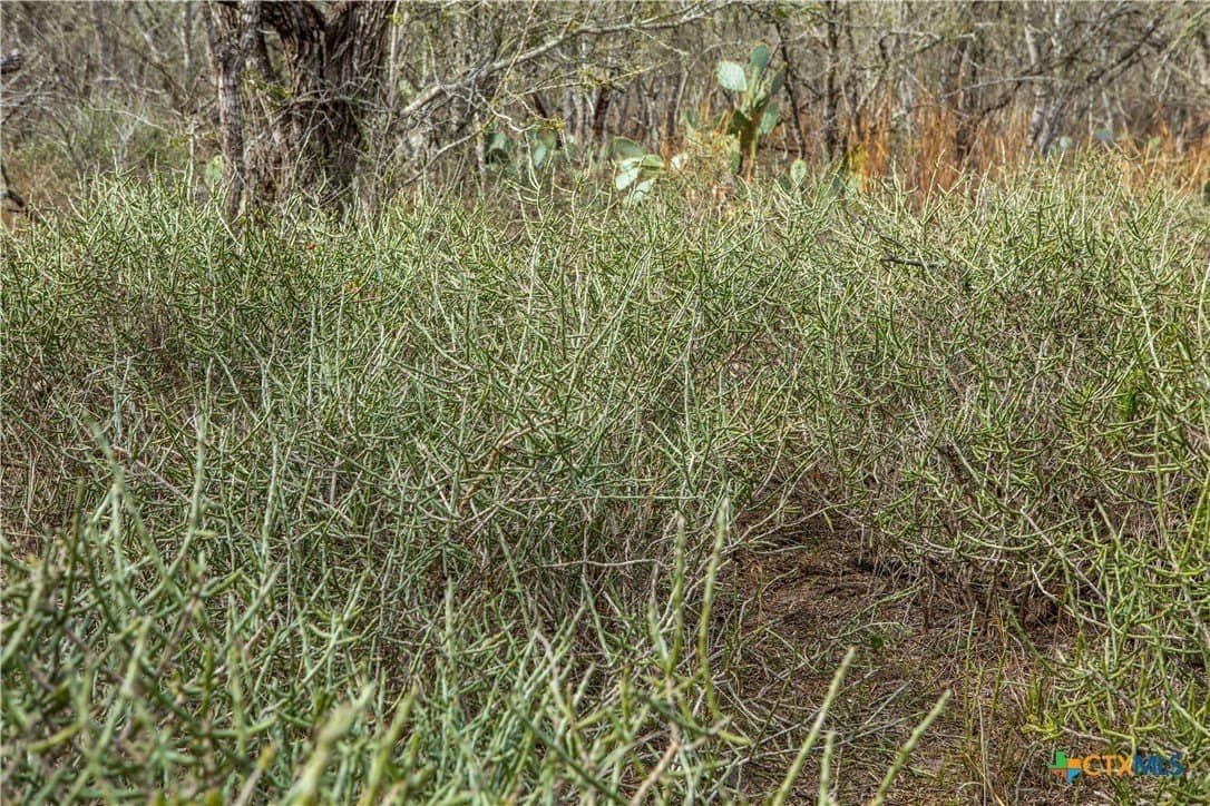 12.19 acres in Bee County - photo 18