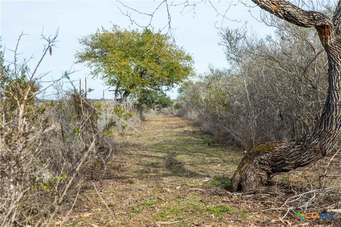 12.19 acres in Bee County - photo 25