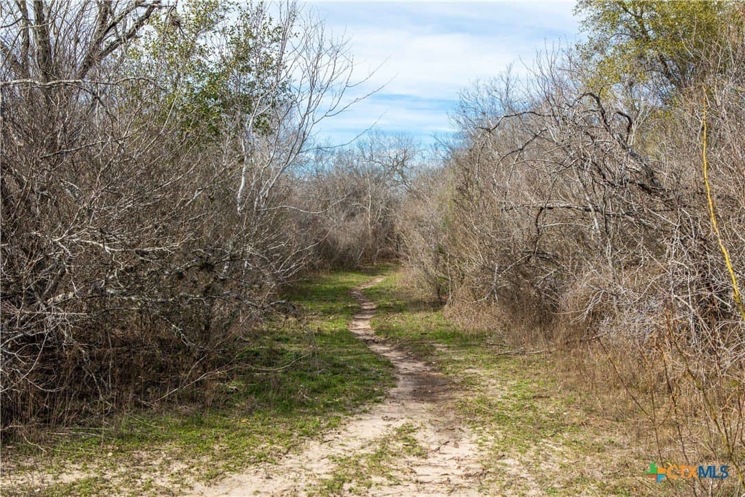 12.19 acres in Bee County - photo 7