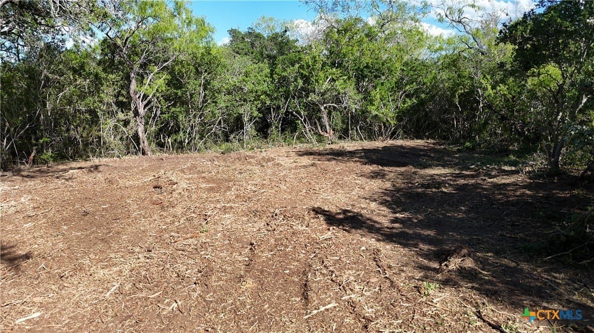 12.19 acres in Bee County - photo 37
