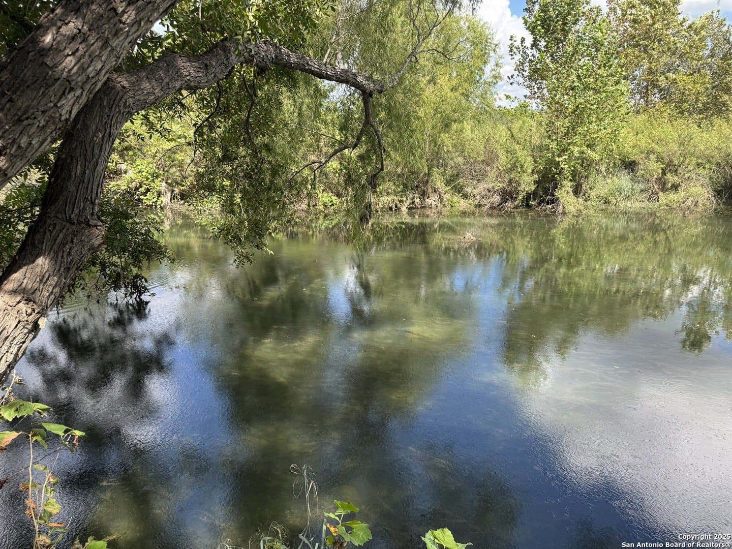 10 acres in Uvalde County - photo 6