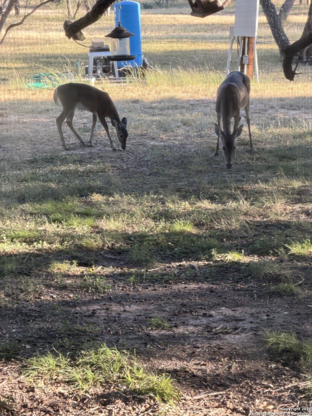 10 acres in Uvalde County - photo 94