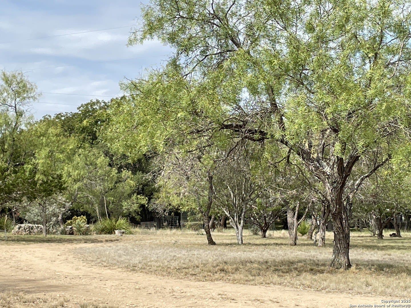 10 acres in Uvalde County - photo 54
