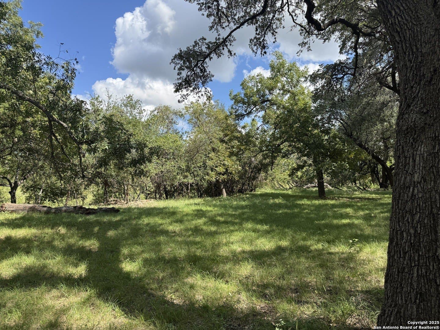 10 acres in Uvalde County - photo 66