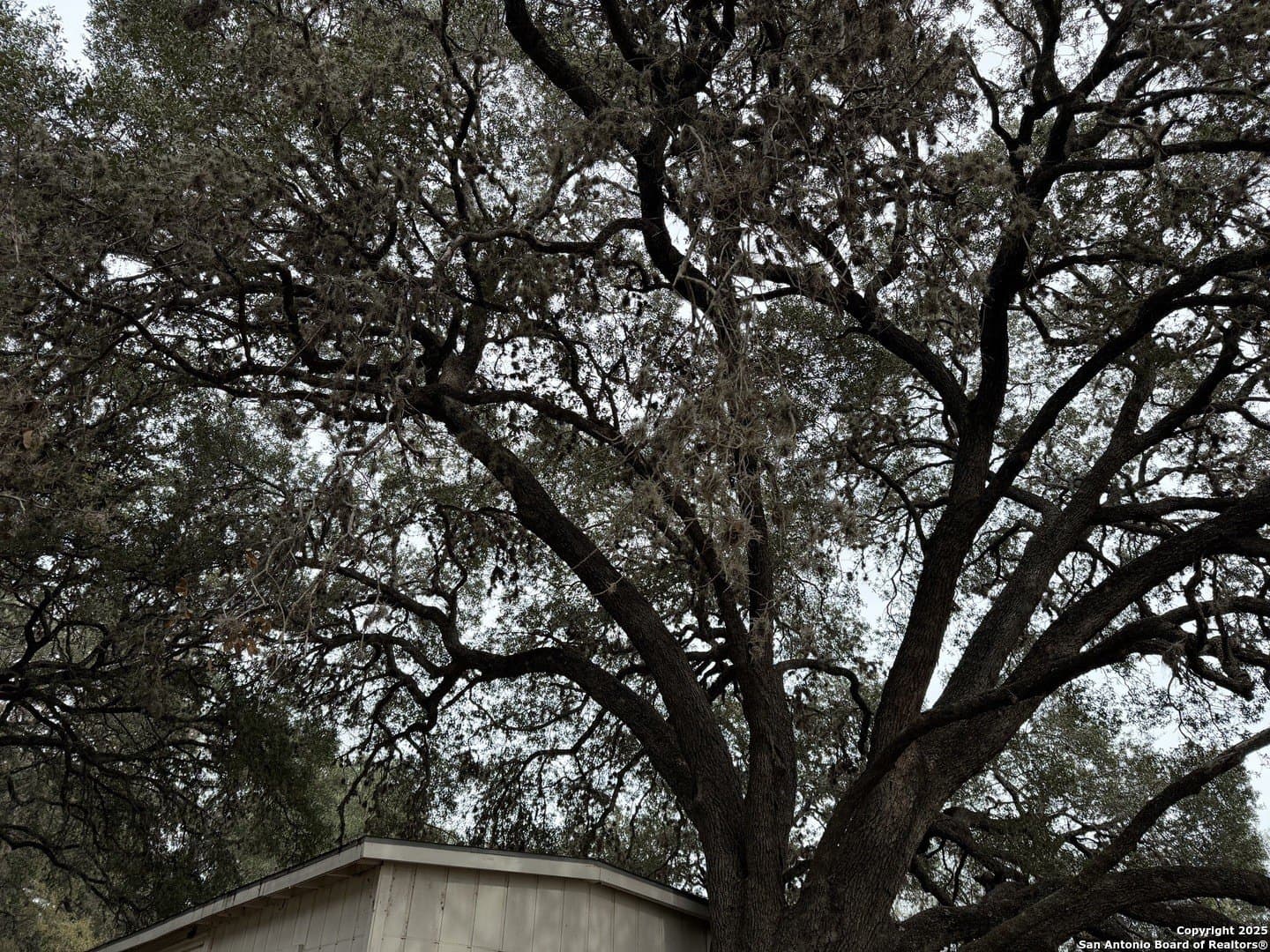 10 acres in Uvalde County - photo 85