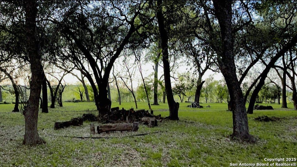 10 acres in Uvalde County - photo 53
