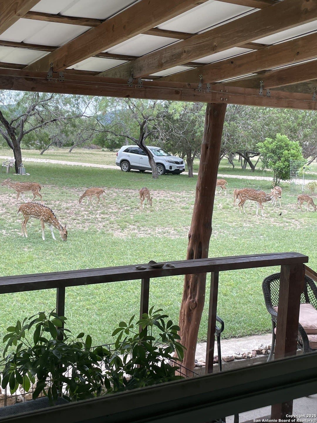 10 acres in Uvalde County - photo 40