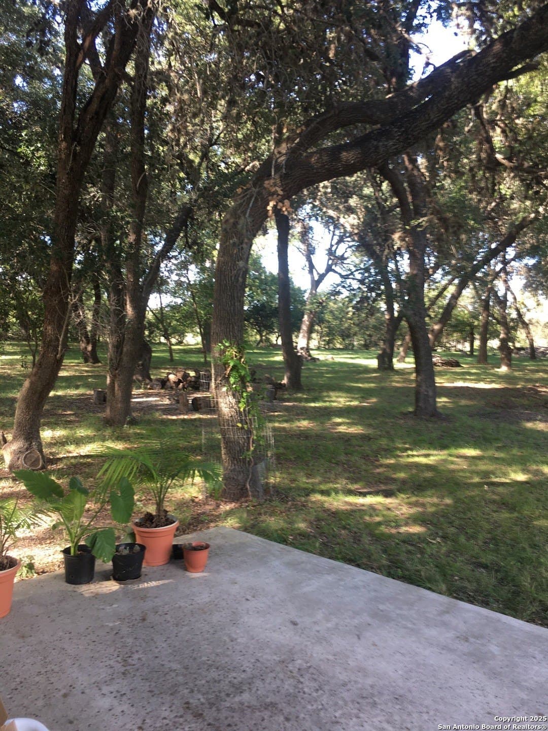 10 acres in Uvalde County - photo 50