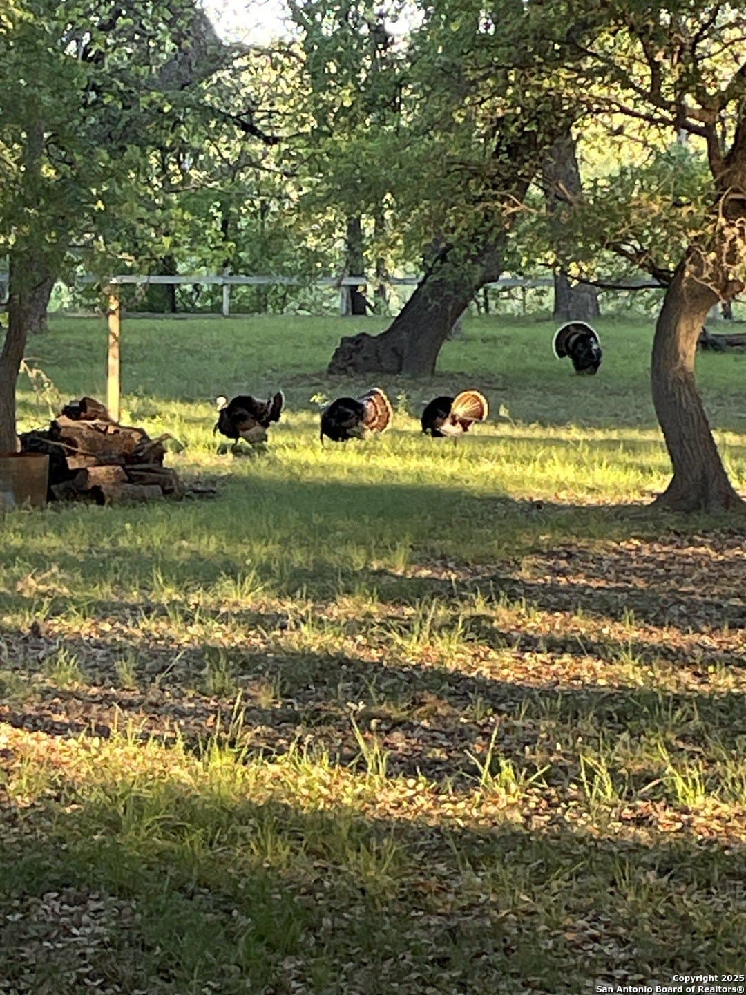 10 acres in Uvalde County - photo 55