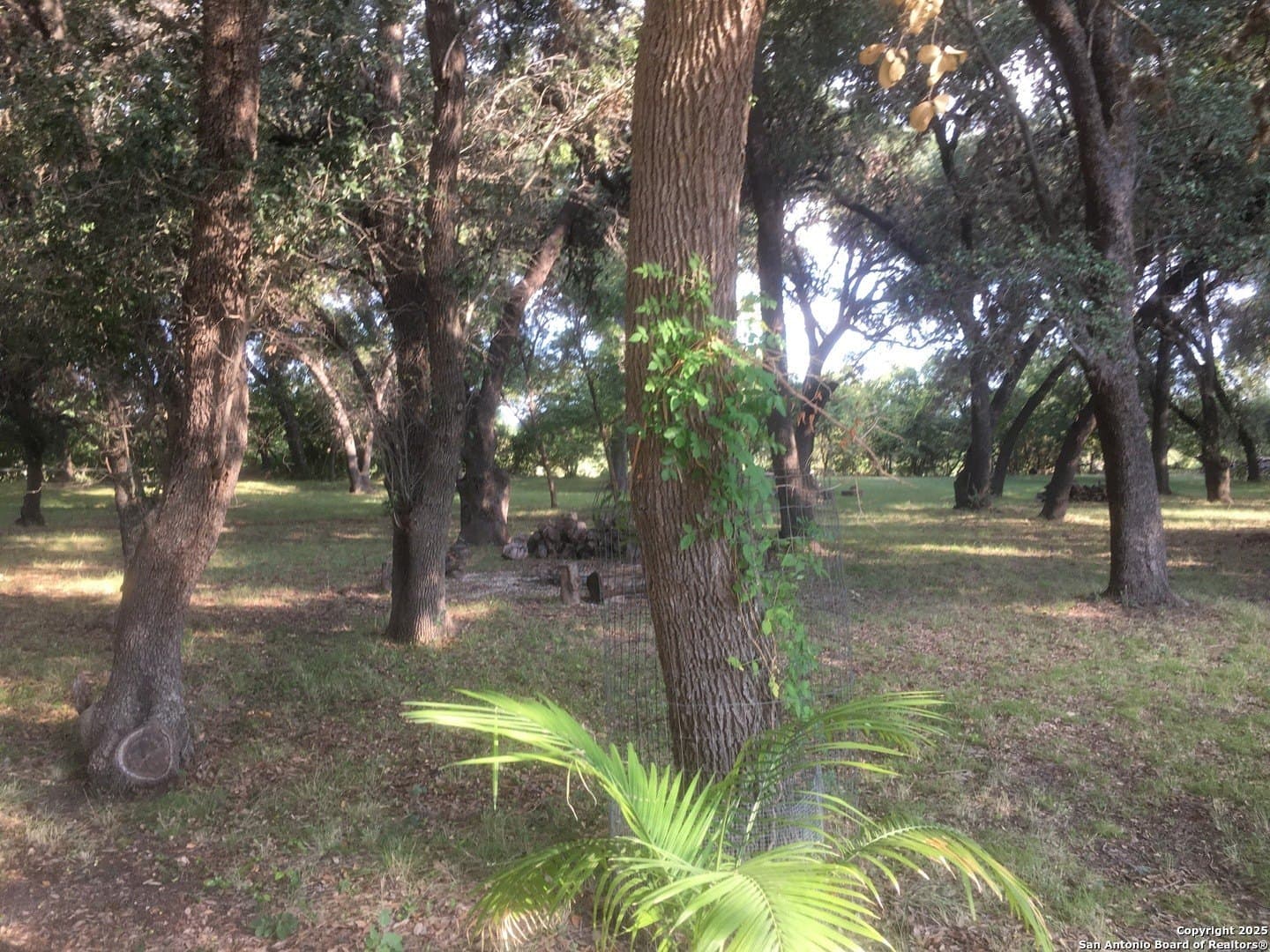 10 acres in Uvalde County - photo 49