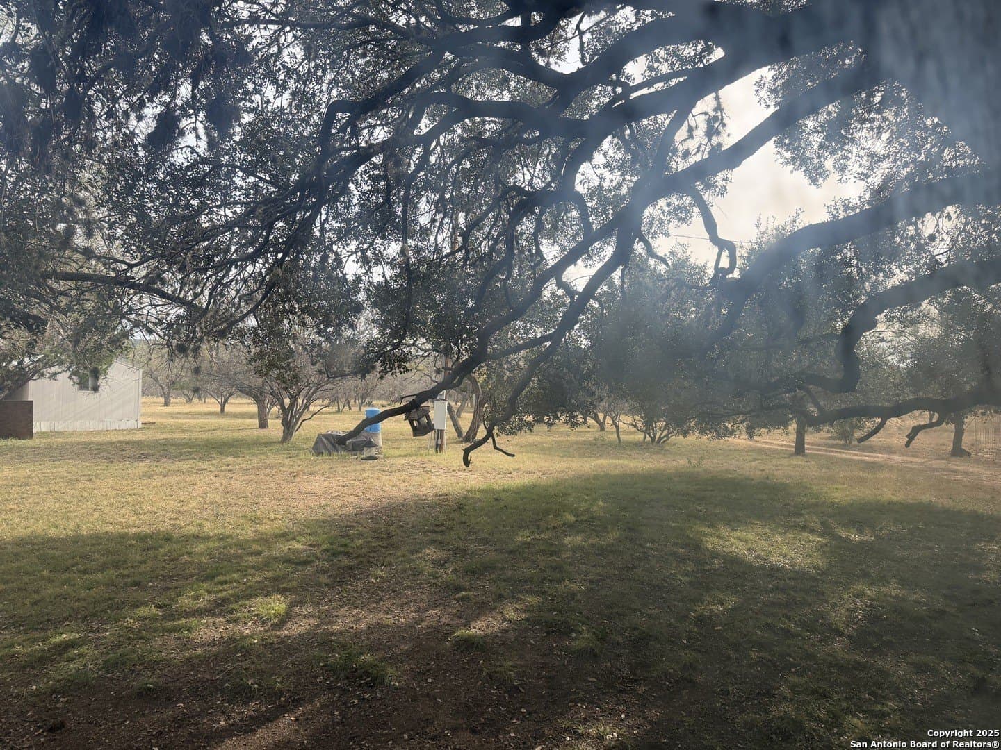 10 acres in Uvalde County - photo 87