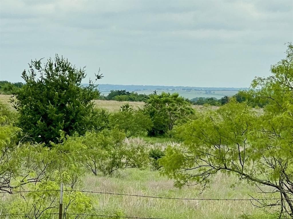 70 acres in McLennan County gallery image 4