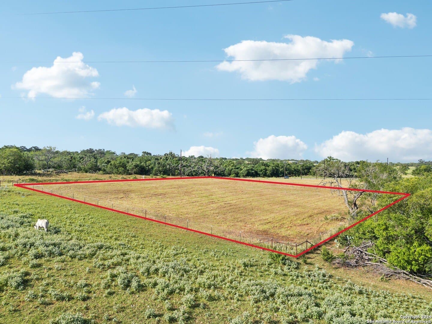 1.01 acres in Wilson County - photo 6