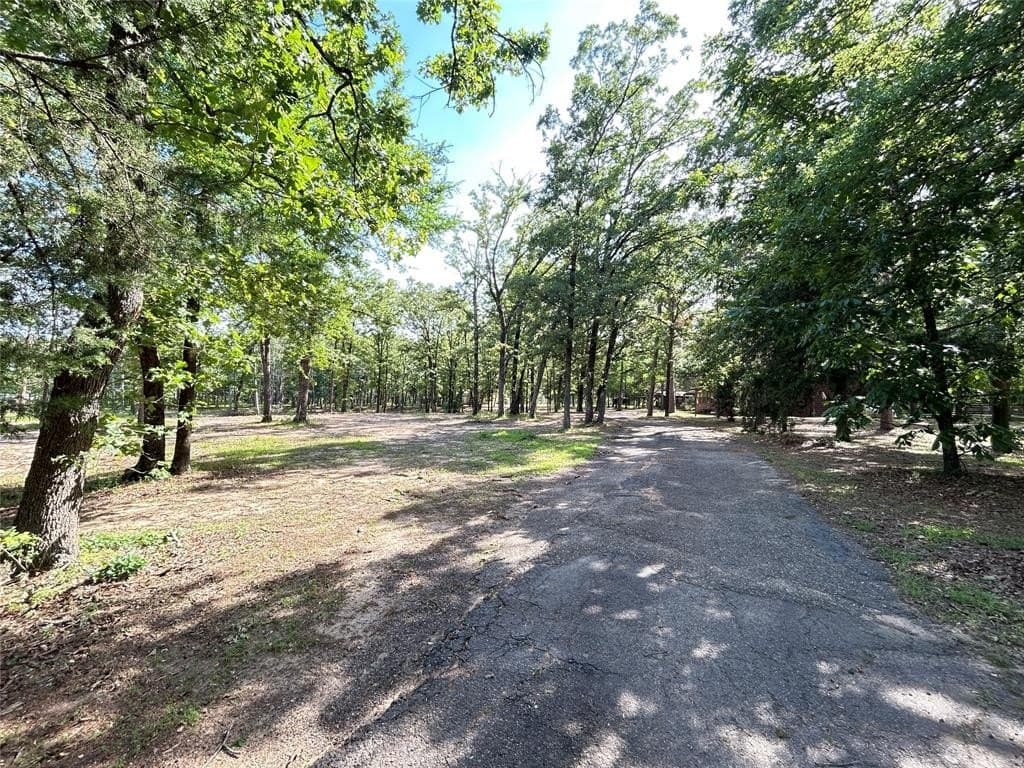 24.29 acres in Hopkins County featured view