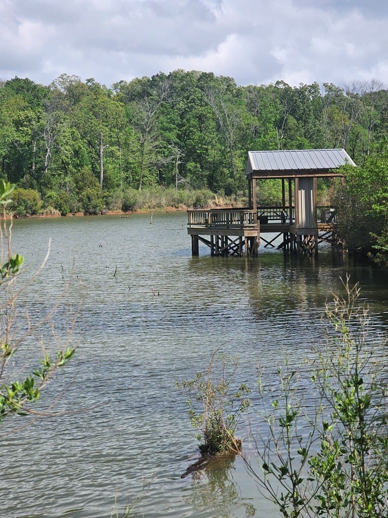 84.19 acres in Henderson County gallery image 3