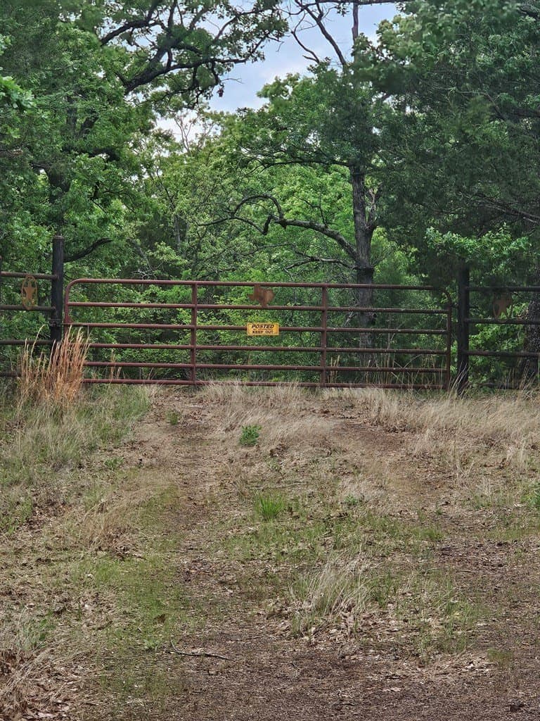 84.19 acres in Henderson County featured view