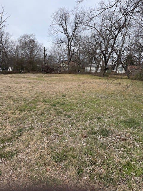 0.2 acres in Fannin County - photo 8