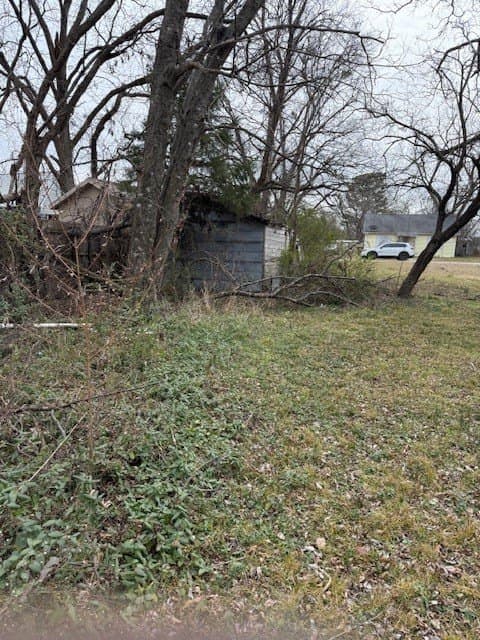 0.2 acres in Fannin County - photo 6