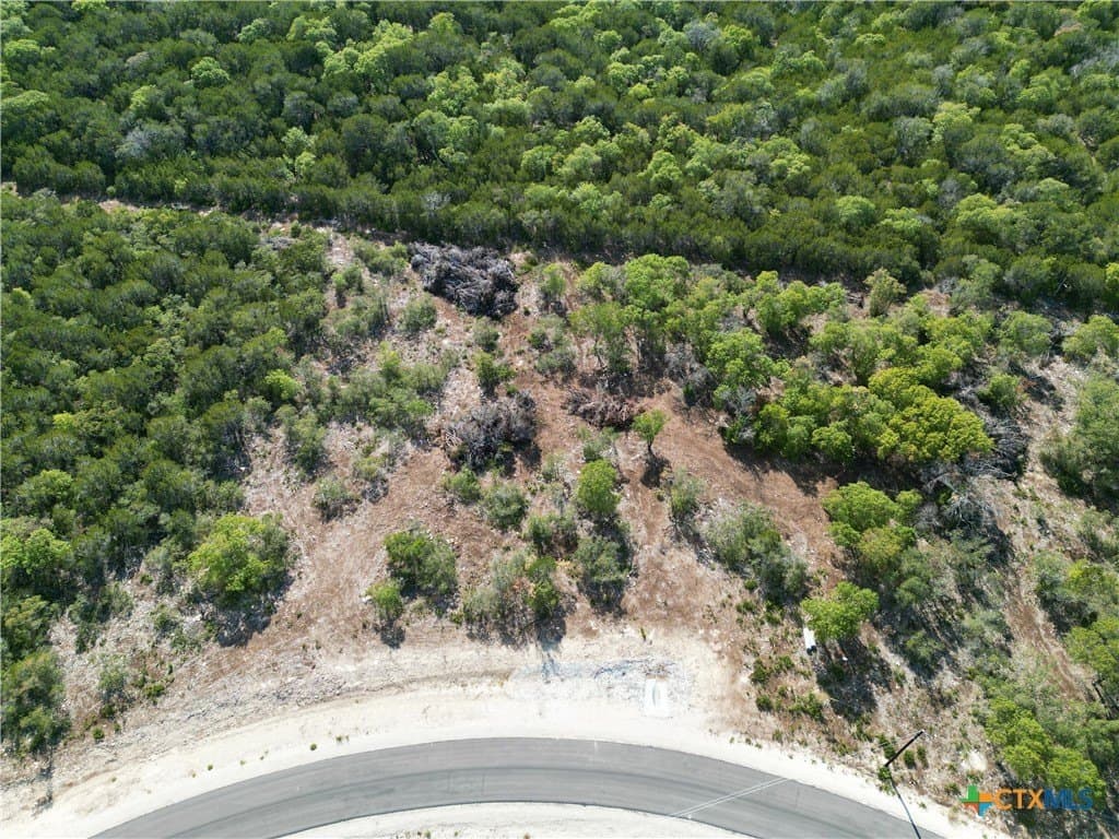 2.25 acres in Burnet County gallery image 2
