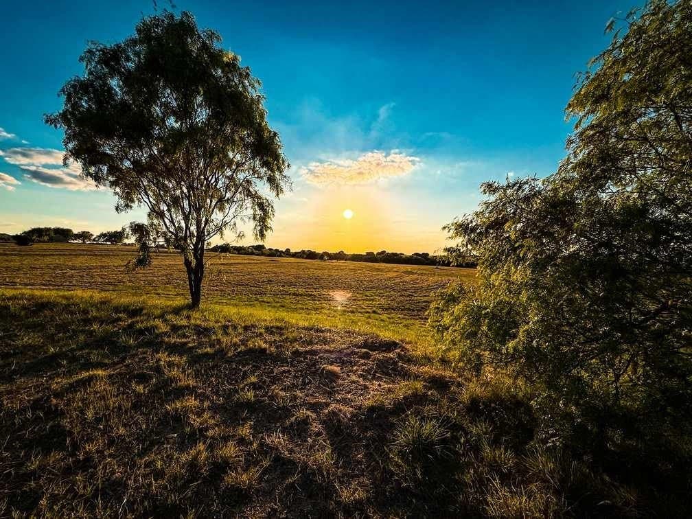 29.01 acres in Coryell County - photo 37