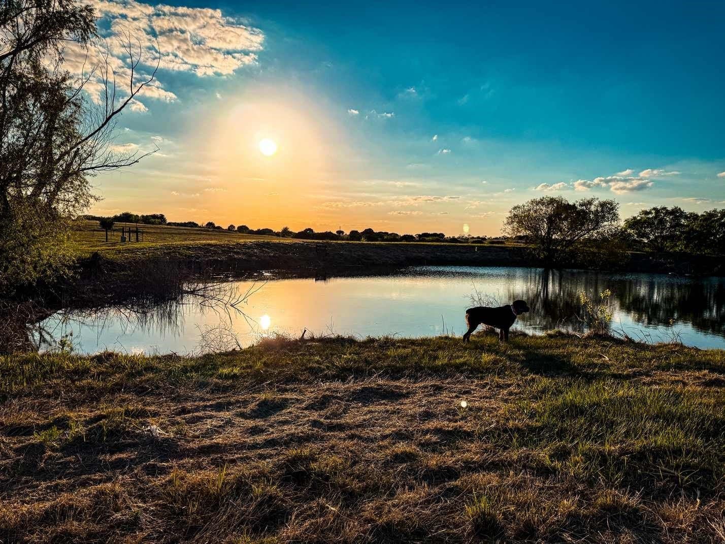 29.01 acres in Coryell County - photo 35