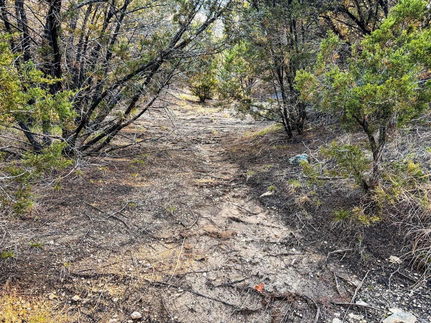 29.01 acres in Coryell County - photo 39