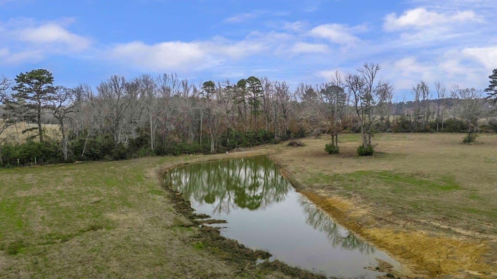 31.15 acres in Texas County gallery image 4