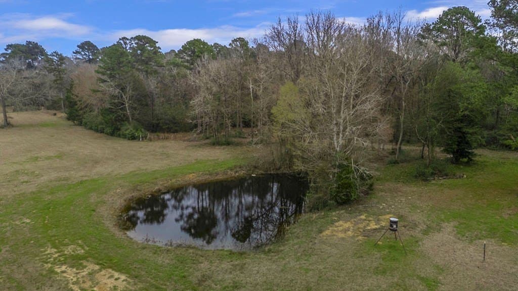 31.15 acres in Texas County gallery image 3