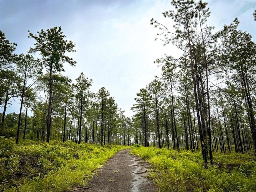 19 acres in Jasper County featured view