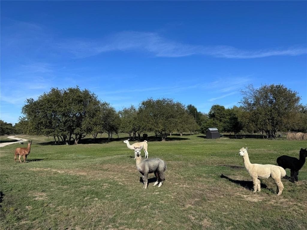 20 acres in Hunt County gallery image 3